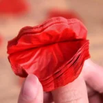 2000-100Pcs-Artificial-Fake-Rose-Petals-Colorful-Simulation-Silk-Rose-Petal-For-Valentines-Day-Wedding-Party.webp