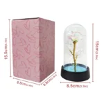 New-Preserved-Rose-Props-Birthday-Home-Decorations-Anniversary-Gift-Valentine-s-Day-Confession-Rose-Gold-Foil.webp
