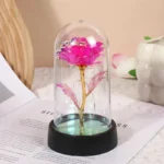 New-Preserved-Rose-Props-Birthday-Home-Decorations-Anniversary-Gift-Valentine-s-Day-Confession-Rose-Gold-Foil.webp